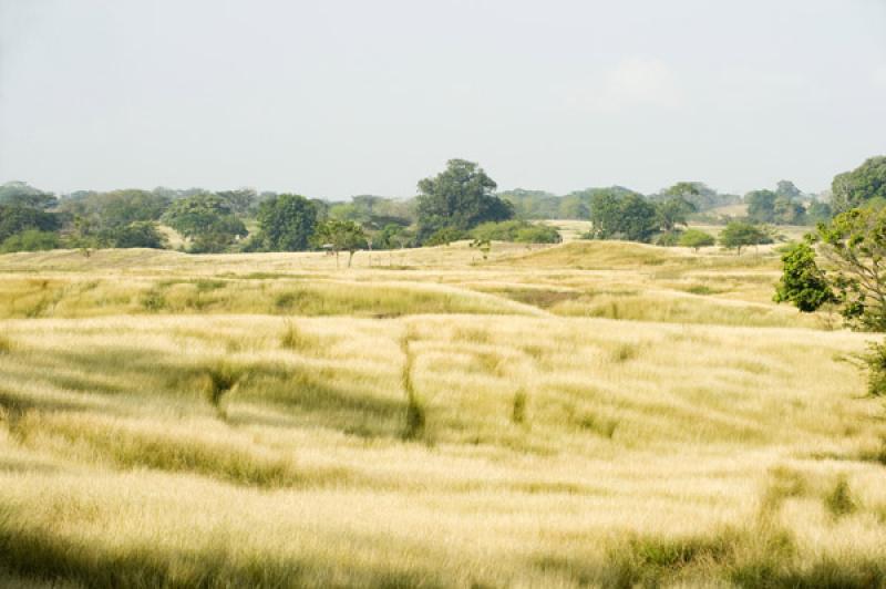 Paisaje de Valledupar, Cesar, Colombia