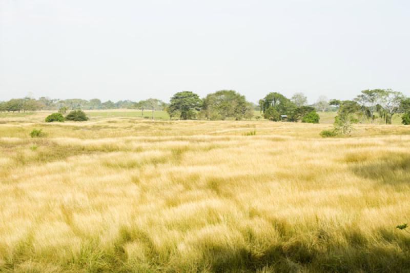 Paisaje de Valledupar, Cesar, Colombia