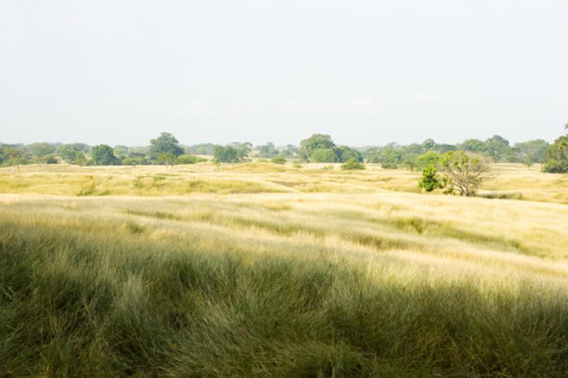 Paisaje de Valledupar, Cesar, Colombia