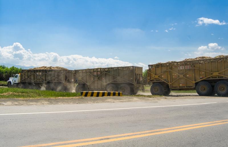 Tren de la Caña, El Cerrito, Valle del Cauca, Col...