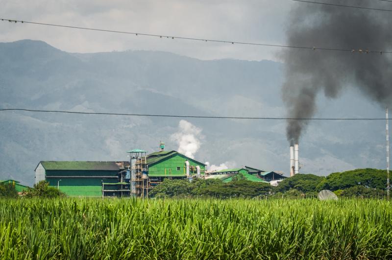 Cultivo de Caña de Azucar, El Cerrito, Valle del ...