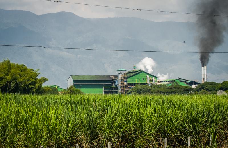 Cultivo de Caña de Azucar, El Cerrito, Valle del ...