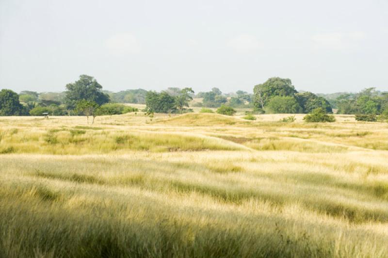 Paisaje de Valledupar, Cesar, Colombia