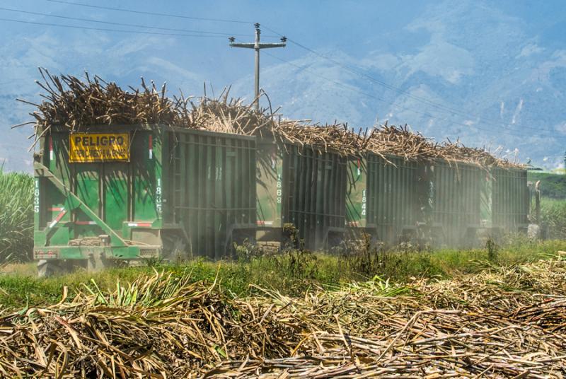 Tren de la Caña, El Cerrito, Valle del Cauca, Col...