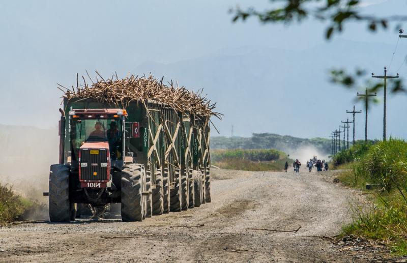 Tren de la Caña, El Cerrito, Valle del Cauca, Col...