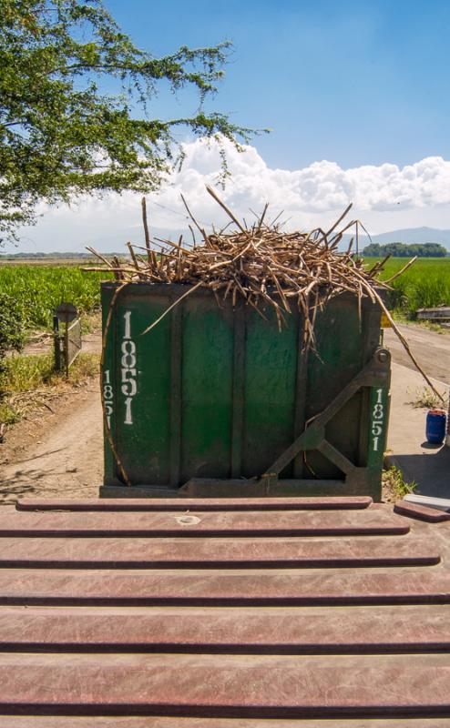 Tren de la Caña, El Cerrito, Valle del Cauca, Col...