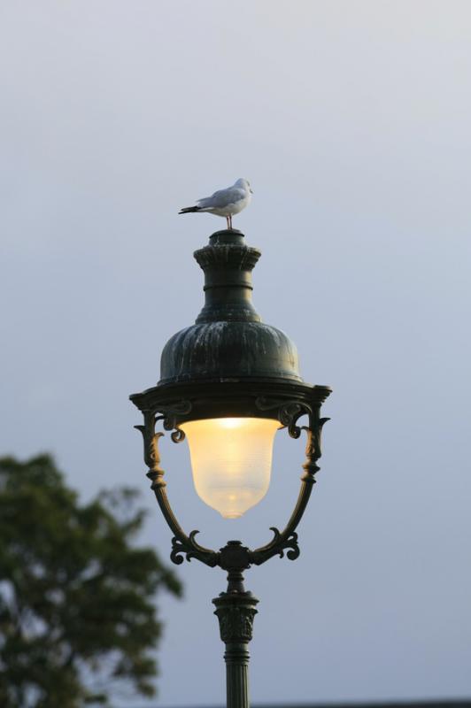 Farol en Paris, Francia, Europa Occidental