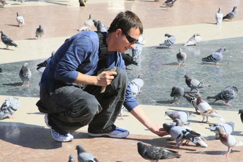 Hombre Alimentando las Palomas, La Rambla, Barcelo...