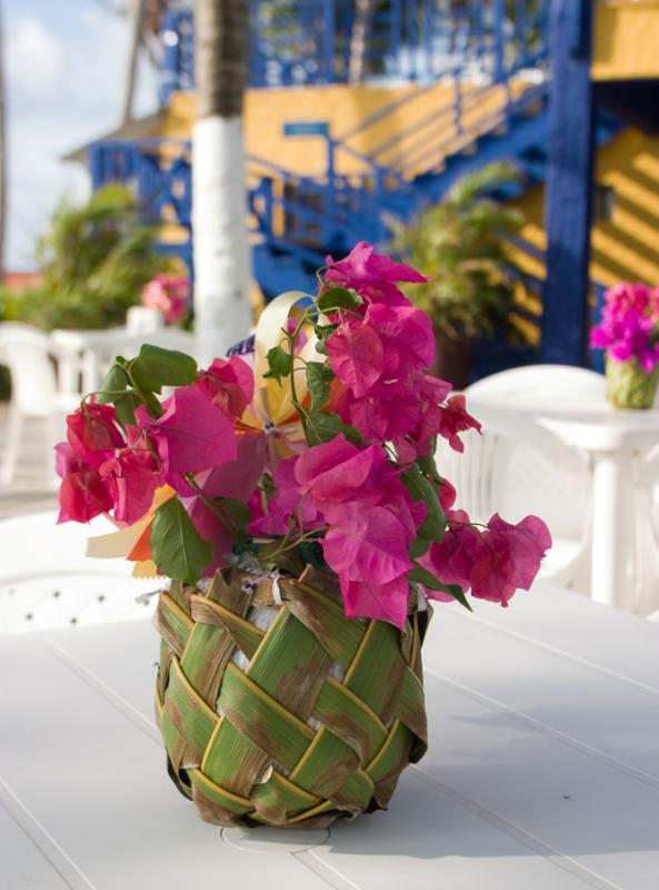 Arreglo Floral de Bougainvillea Glabra