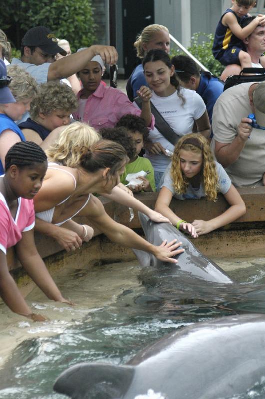 Sea World Florida, Orlando, Estados Unidos, Americ...