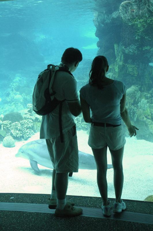 Pareja en el Sea World Florida, Orlando, Estados U...