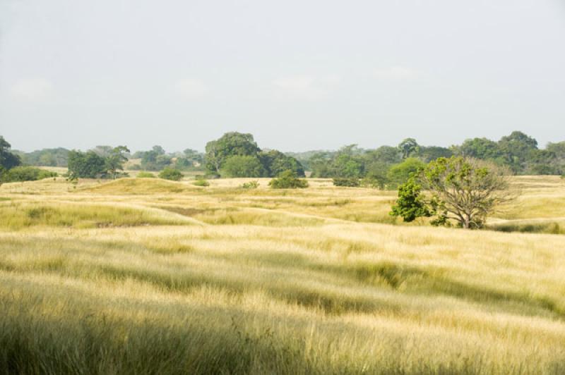 Paisaje de Valledupar, Cesar, Colombia