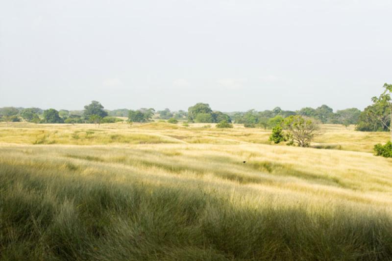 Paisaje de Valledupar, Cesar, Colombia