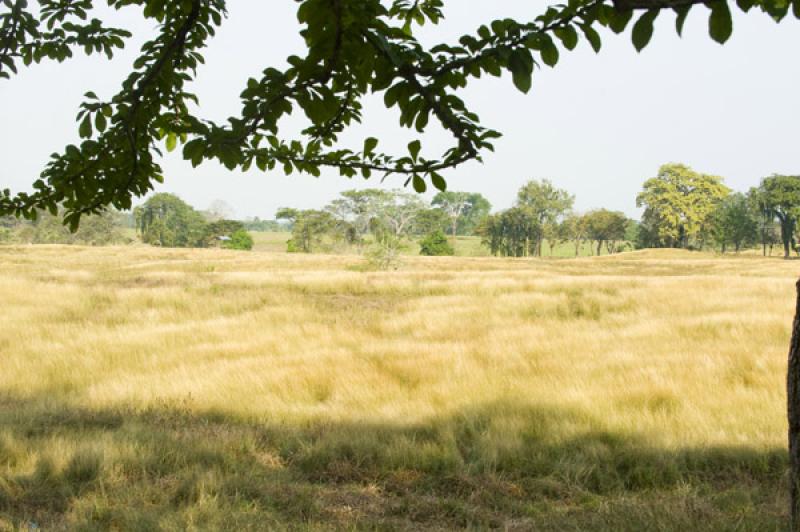 Paisaje de Valledupar, Cesar, Colombia