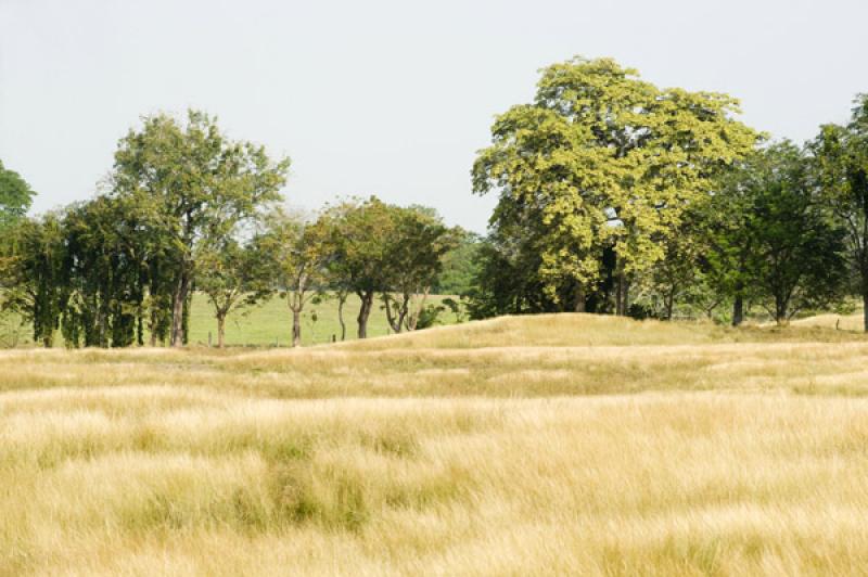 Paisaje de Valledupar, Cesar, Colombia