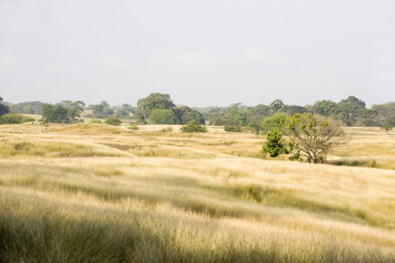 Paisaje de Valledupar, Cesar, Colombia