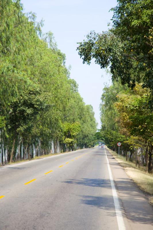 Carretera de Valledupar, Cesar, Colombia