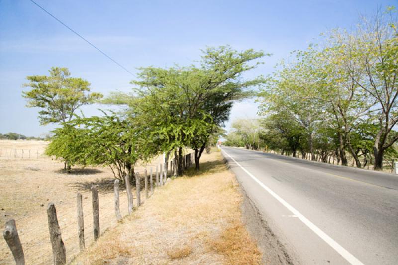 Carretera de Valledupar, Cesar, Colombia