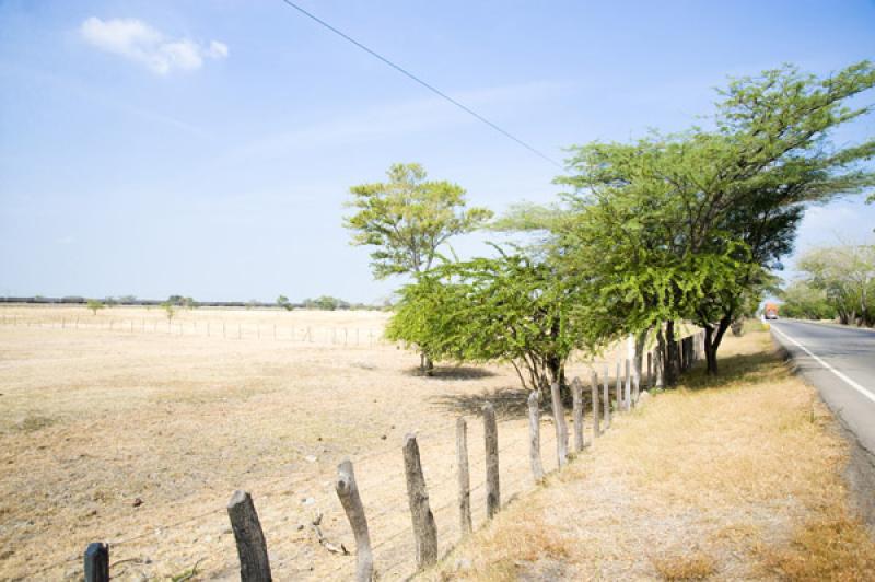 Carretera de Valledupar, Cesar, Colombia