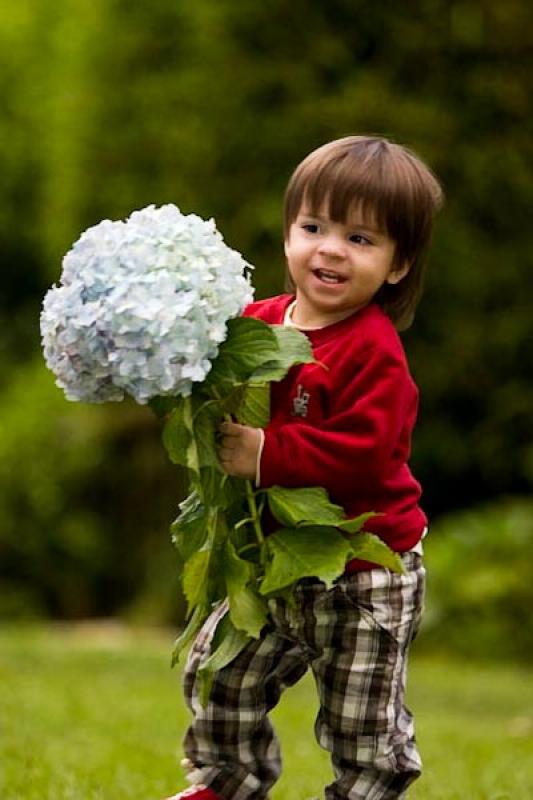 NiÃ±o con Flores