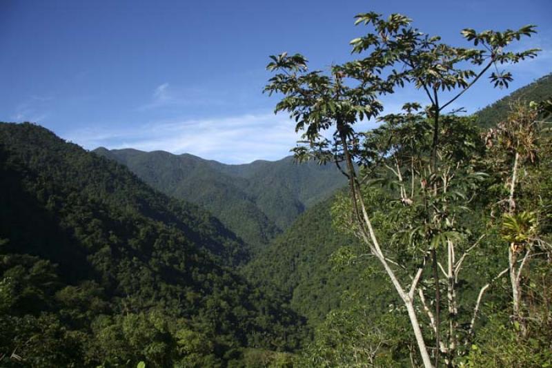 Ciudad Perdida, Sierra Nevada de Santa Marta, Sant...