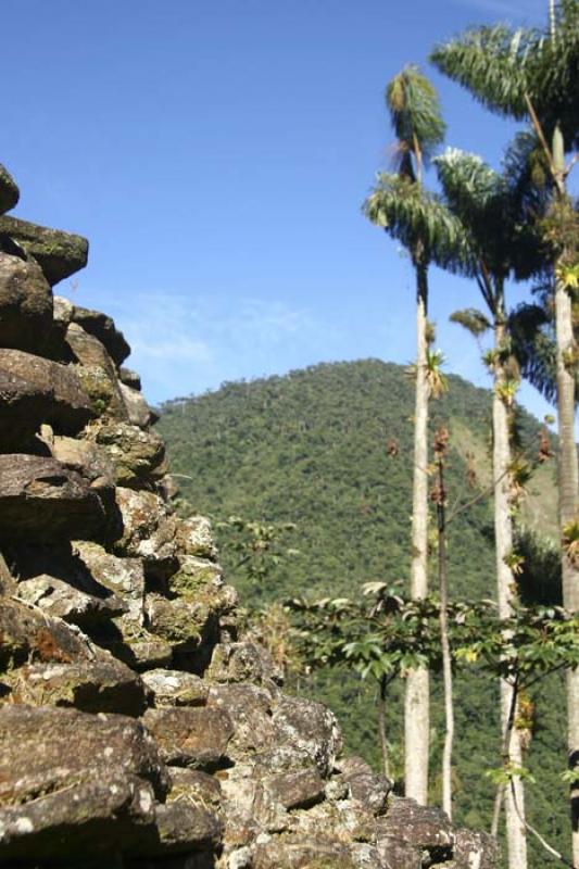 Ciudad Perdida, Sierra Nevada de Santa Marta, Sant...