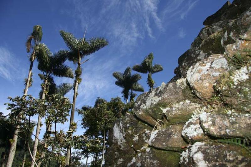 Ciudad Perdida, Sierra Nevada de Santa Marta, Sant...