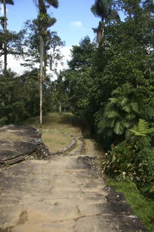 Ciudad Perdida, Sierra Nevada de Santa Marta, Sant...