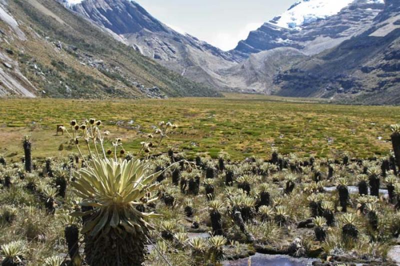 Valle de los Cojines, Sierra Nevada del Cocuy, Boy...