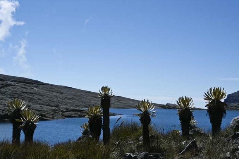 Laguna Hoja Larga, Sierra Nevada del Cocuy, Boyaca...