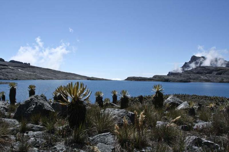 Laguna Hoja Larga, Sierra Nevada del Cocuy, Boyaca...