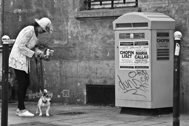 Mujer con su Perro, Paris, Francia, Europa Occiden...