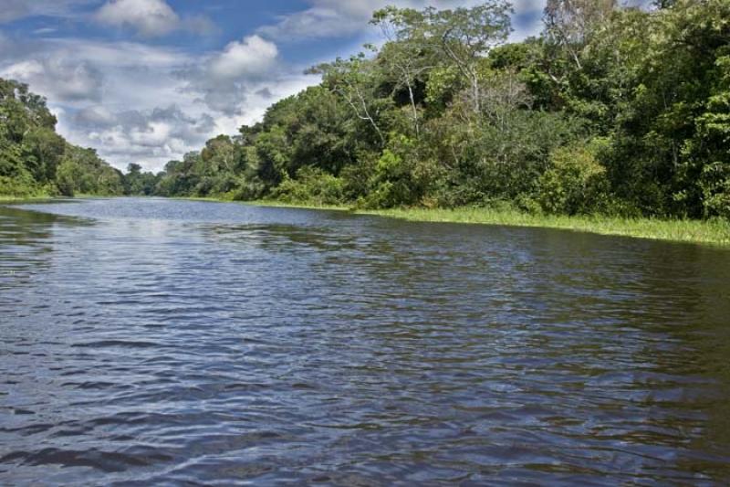 Rio Amazonas, Amazonas, Leticia, Colombia