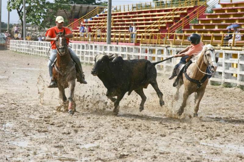 Coleo de Toros, Llanos Orientales, Villavicencio, ...