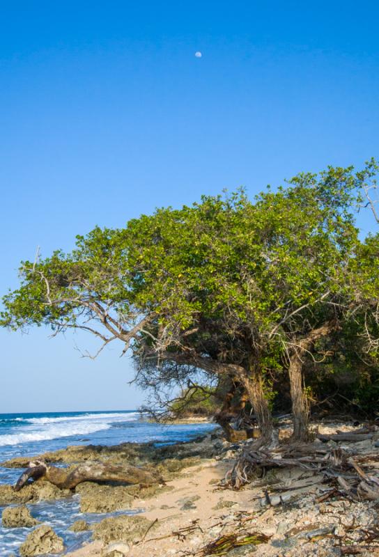 Isla Fuerte, Bolivar, Cartagena, Colombia