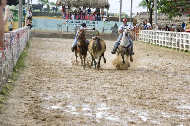 Coleo de Toros, Llanos Orientales, Villavicencio, ...