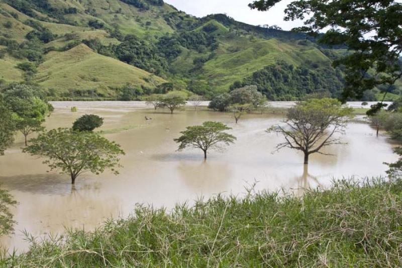 Desbordamiento del Rio Cauca, Bolombo, Antioquia, ...