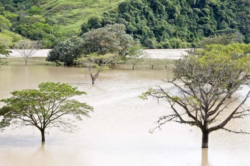 Desbordamiento del Rio Cauca, Bolombo, Antioquia, ...