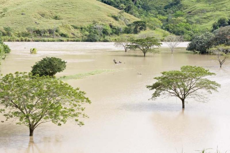 Desbordamiento del Rio Cauca, Bolombo, Antioquia, ...