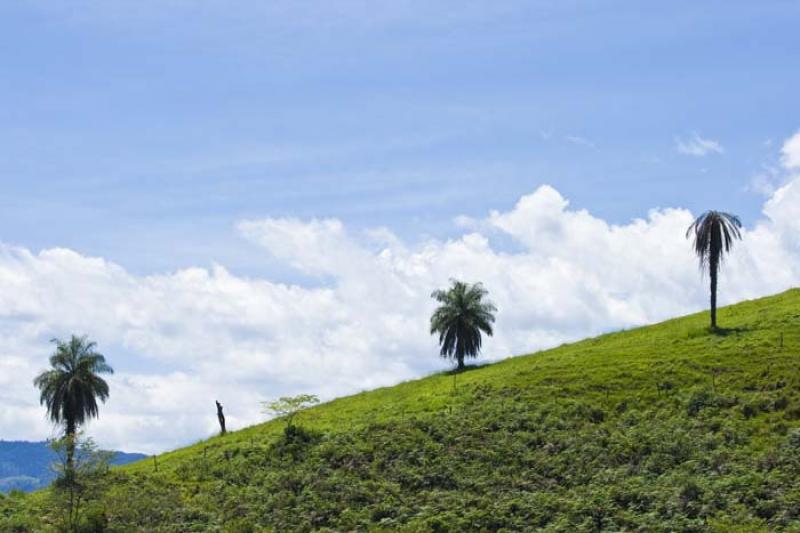 Tarso, Suroeste AntioqueÃ±o, Antioquia, Colombia