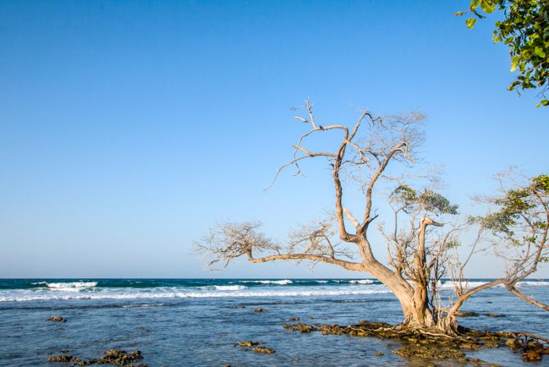 Isla Fuerte, Bolivar, Cartagena, Colombia