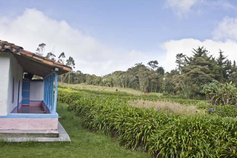 Vivienda en Santa Elena, Antioquia, Medellin, Colo...