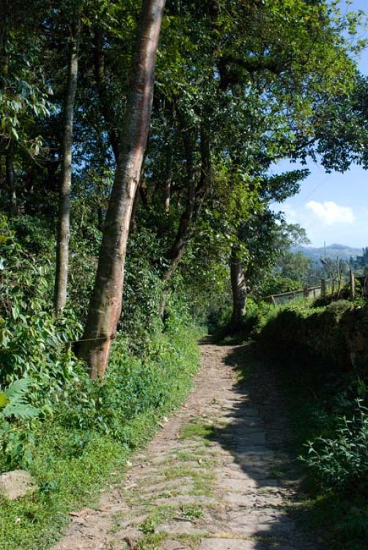 Cachipay, Provincia del Tequendama, Cundinamarca, ...