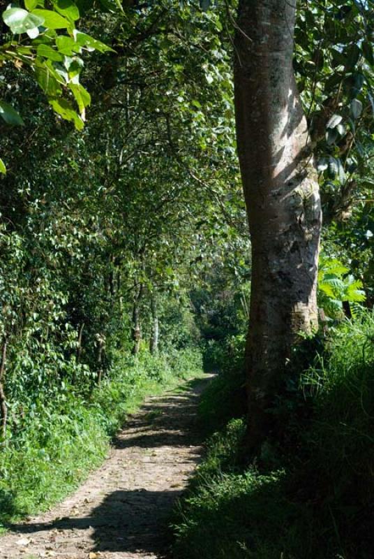 Cachipay, Provincia del Tequendama, Cundinamarca, ...