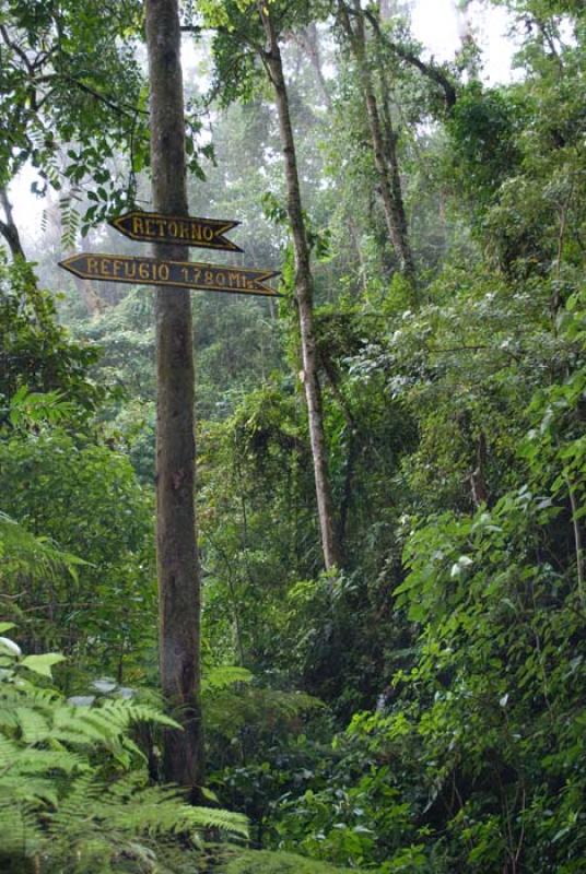 Parque Natural Chicaque, San Antonio del Tequendam...