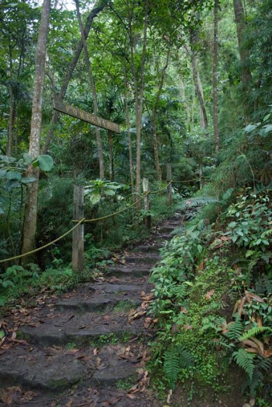 Parque Natural Chicaque, San Antonio del Tequendam...