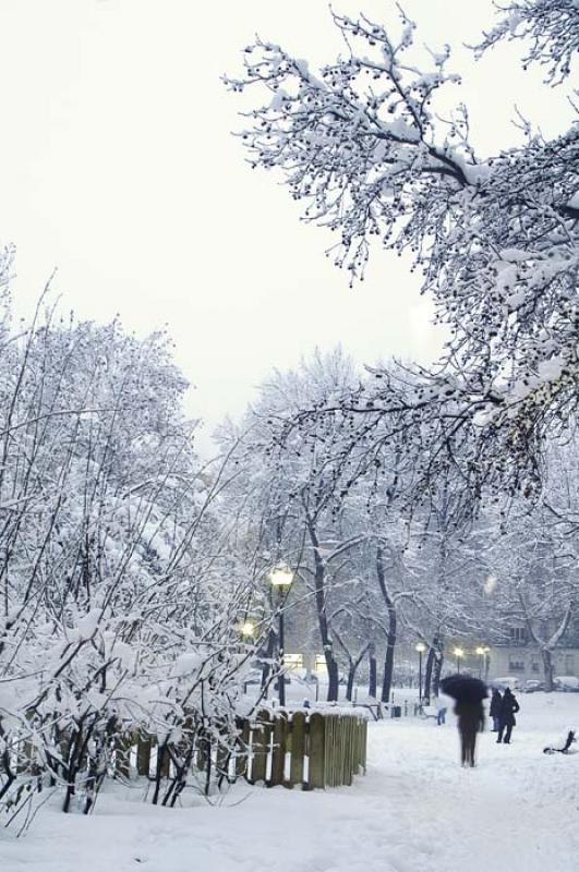 Parque Sempione, Milan, Lombardia, Italia, Europa ...