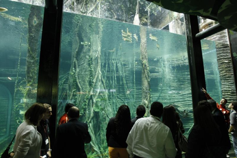 Acuario del Parque Explora, Medellin, Antioquia, C...