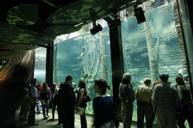 Acuario del Parque Explora, Medellin, Antioquia, C...