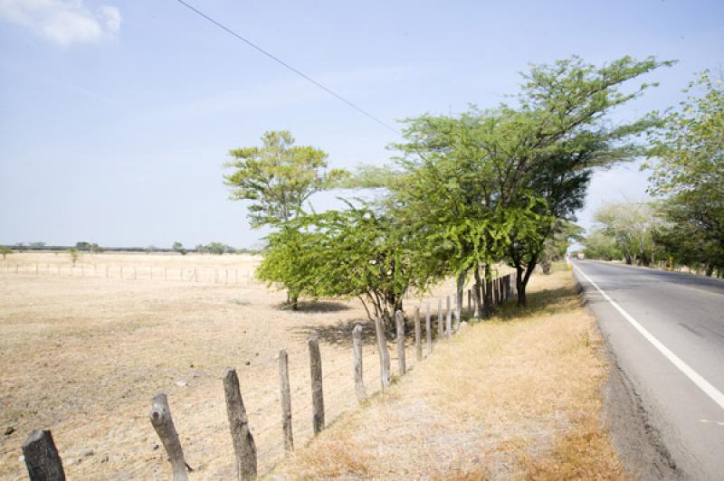 Carretera de Valledupar, Cesar, Colombia